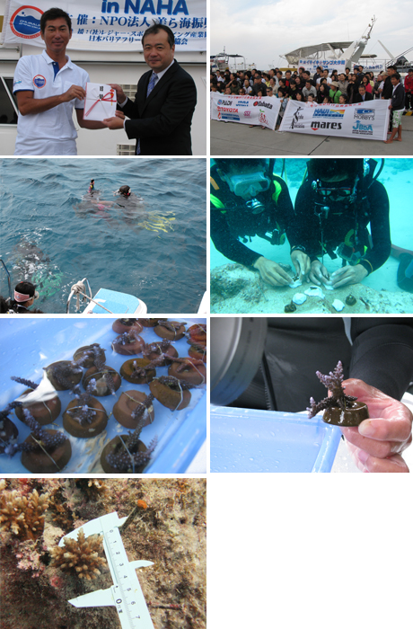 美ら海振興会