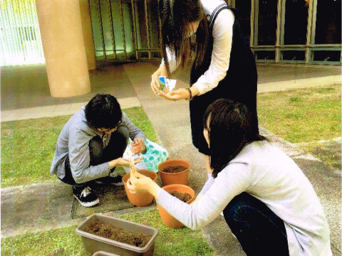 特定非営利活動法人 九州大学こころとそだちの相談室